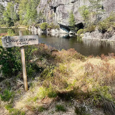 Florvag Summer House